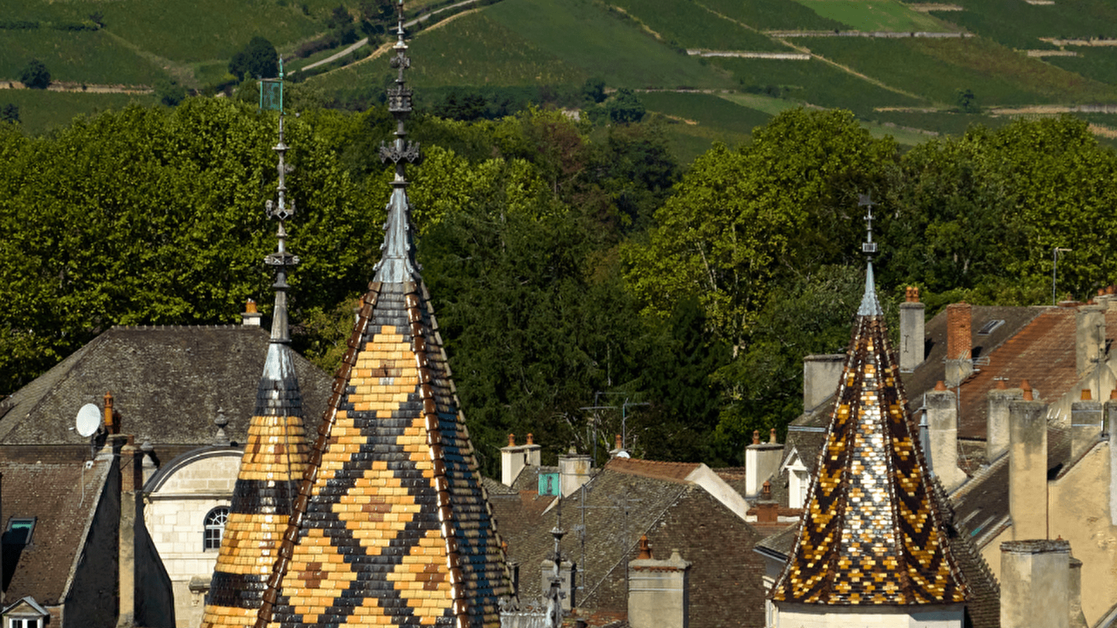 Hôtel-Dieu - Hospices de Beaune
Programmation 2025 - HUMANITÉ
Patrimoine vivant