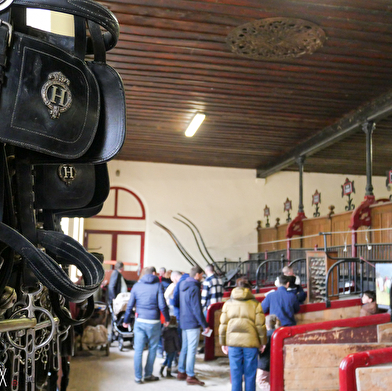 Journée Européenne du Patrimoine au Haras