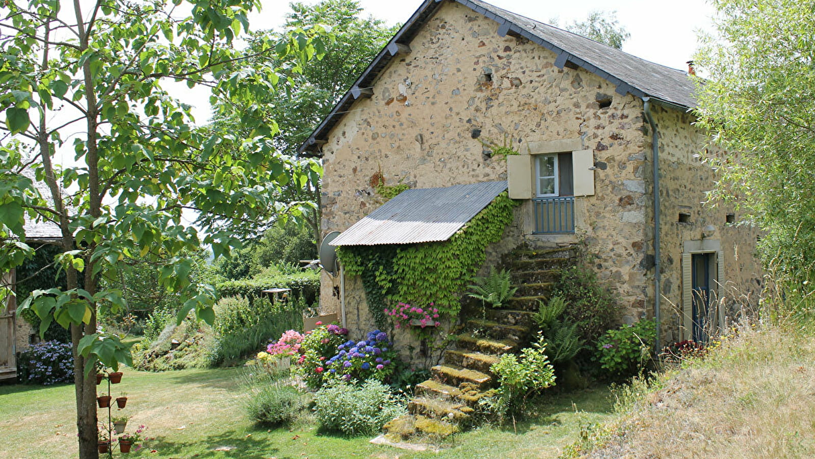 Domaine de sanglier