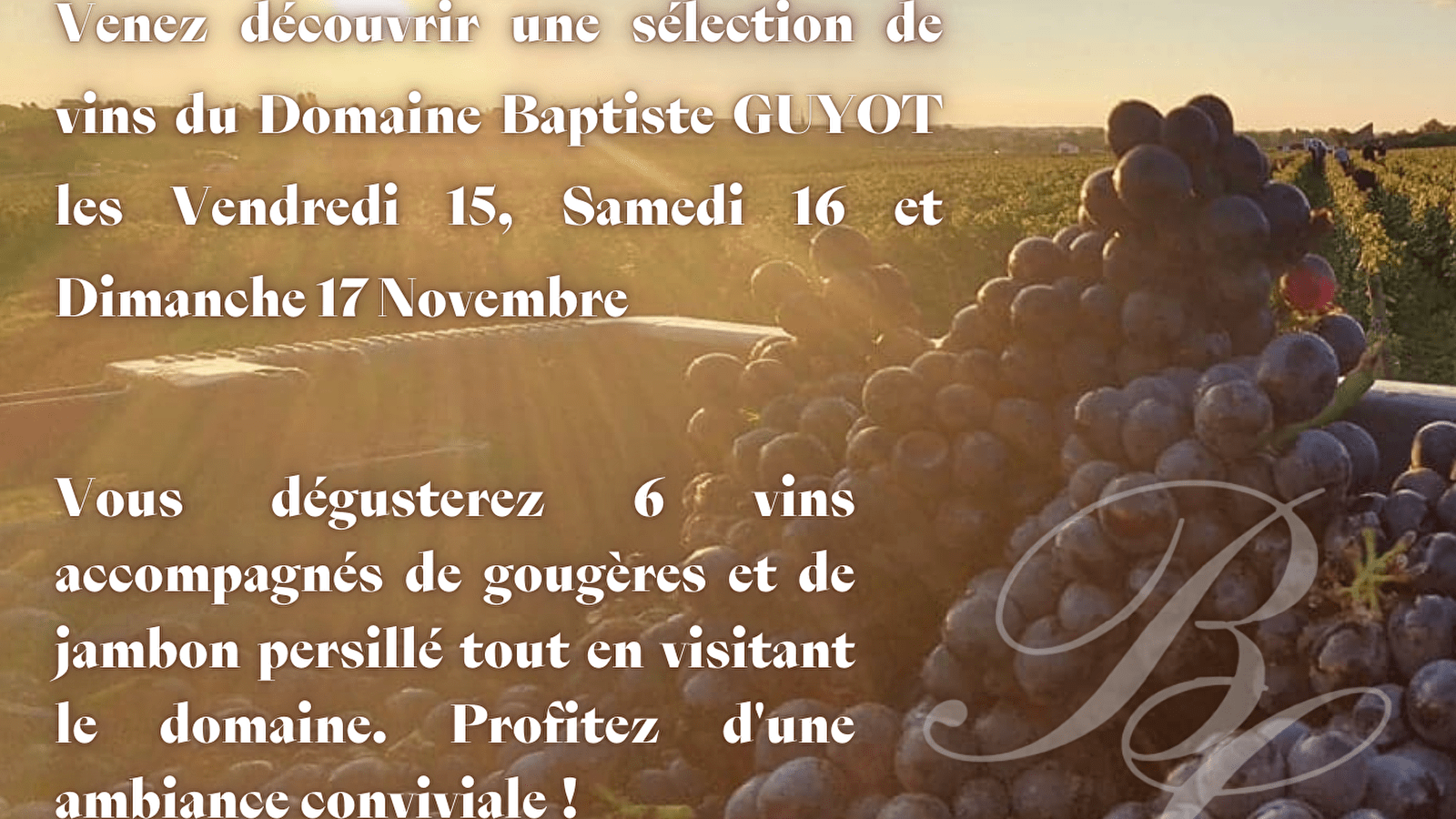 Domaine Baptiste Guyot - Dégustation Vente des Vins 2024