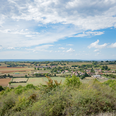 Le sentier de la Louve