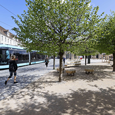 Visite guidée : la ville face au changement climatique