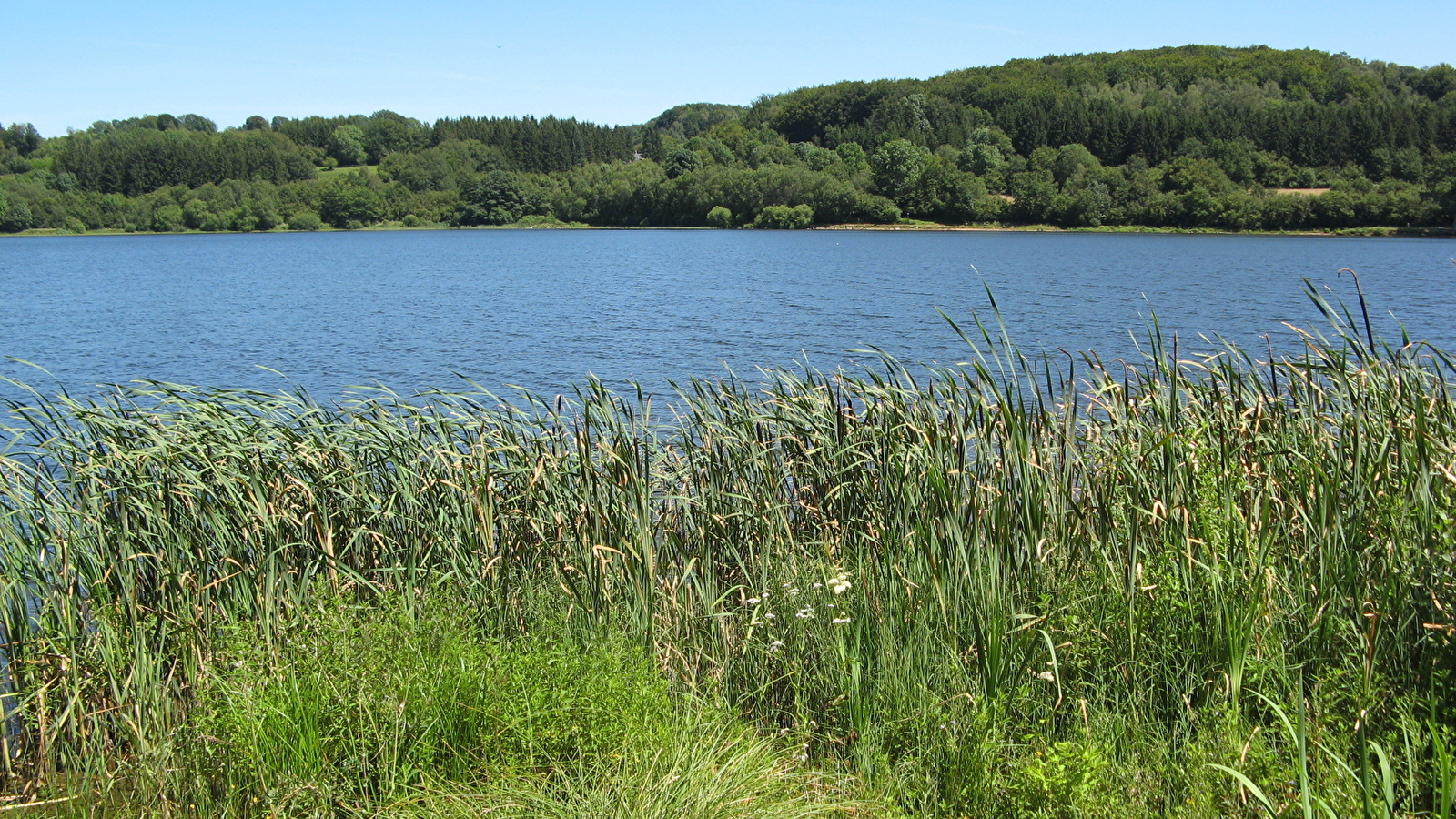 Sur les traces du Castor au lac de Chamboux 