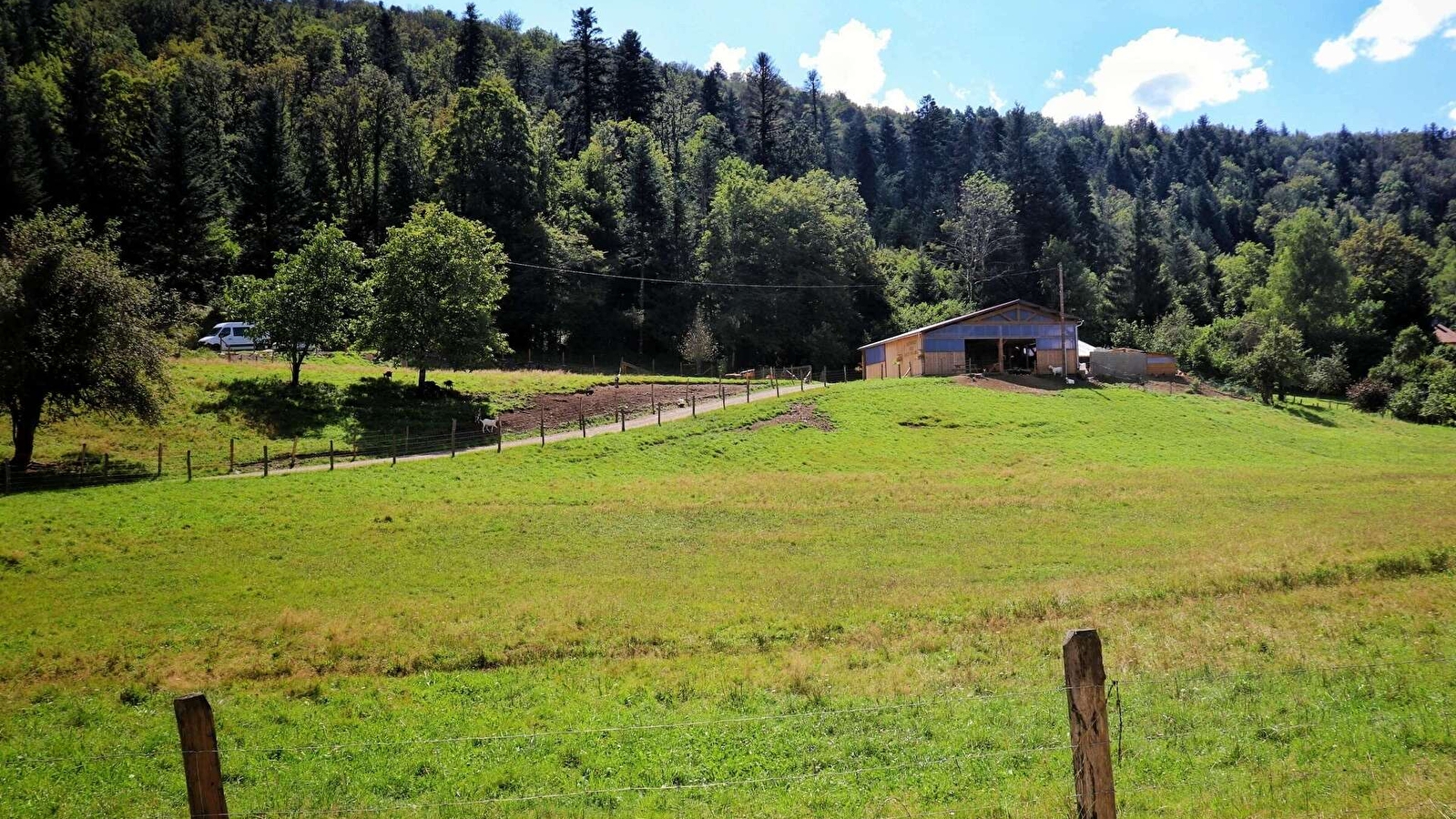 Chèvrerie des bois pâturés