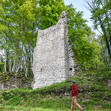 Château de Vautheau