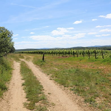 Les bois de Charbonnières