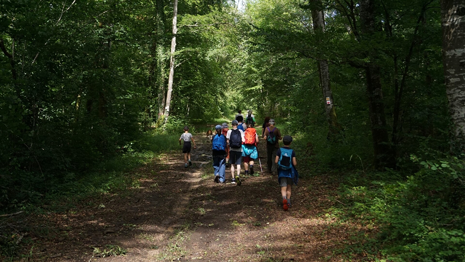 Balade nature en forêt _ENS2025  'sur réservation'