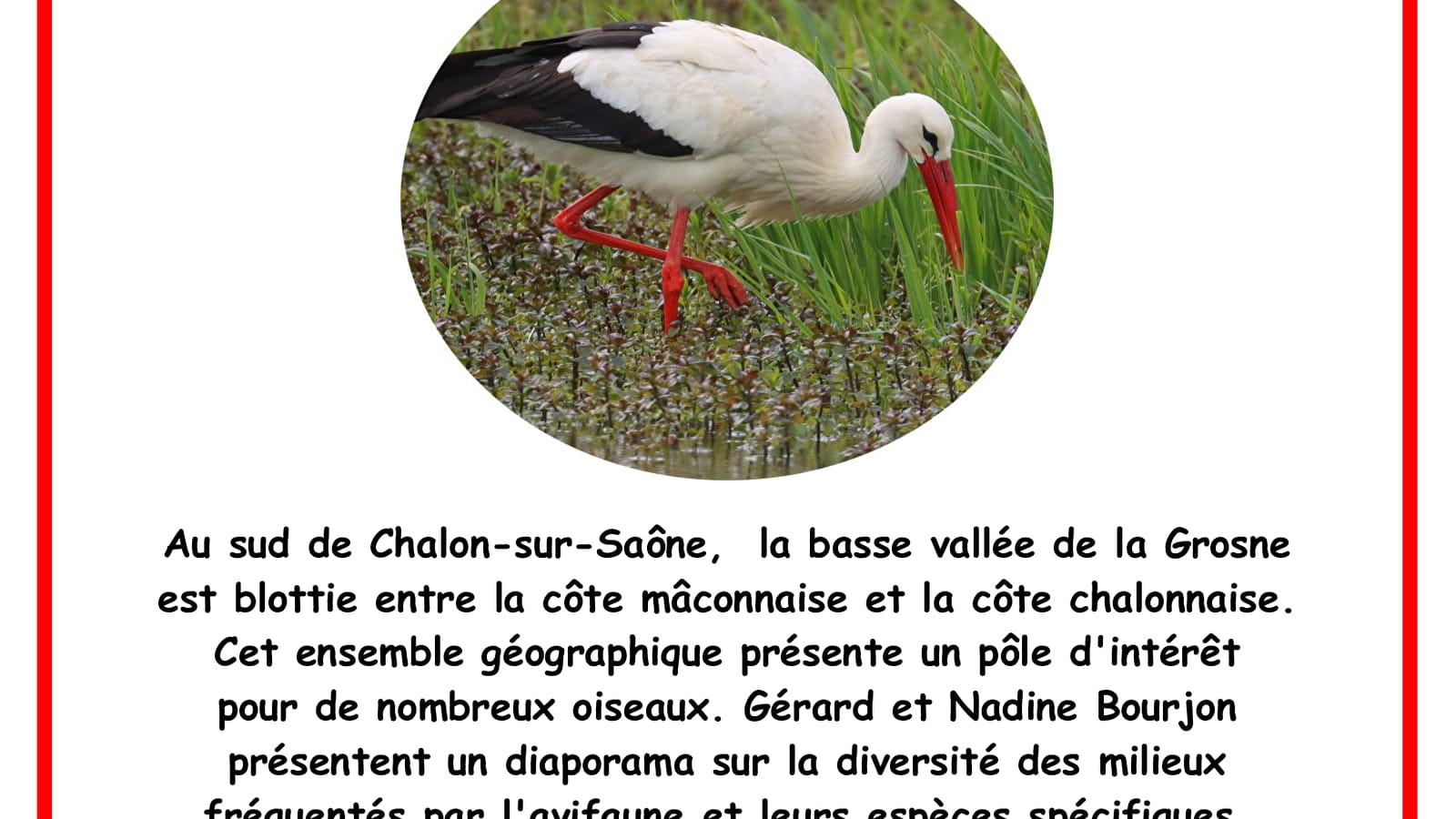 Conférence : les oiseaux du Sud Chalonnais