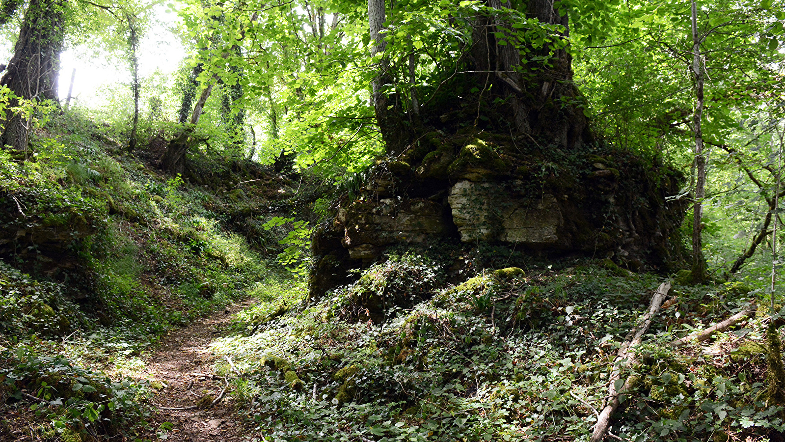 Le sentier des 4 Bornes