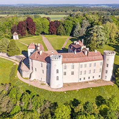 Chateau de Ray-sur-Saône