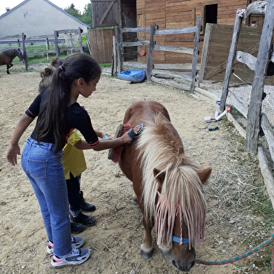 Le petit ranch de Jenni