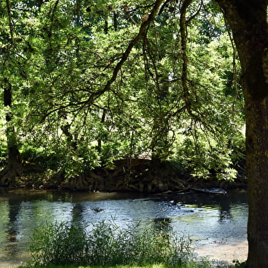 ANNULÉ - Fantastic Picnic au Trou d'Argot