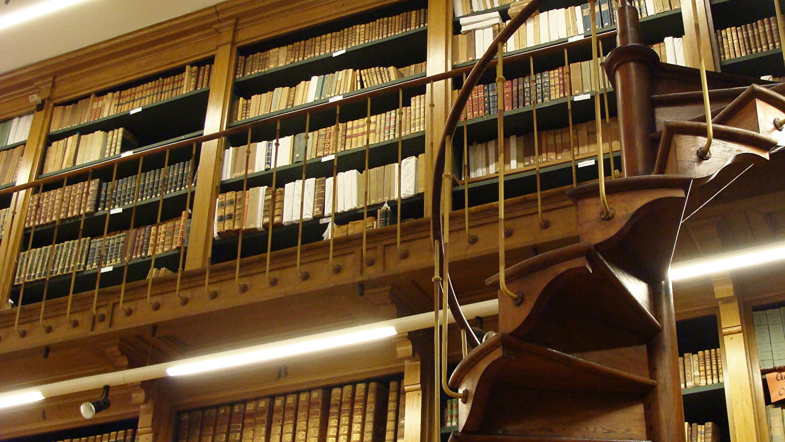 Visite de la bibliothèque de fonds anciens