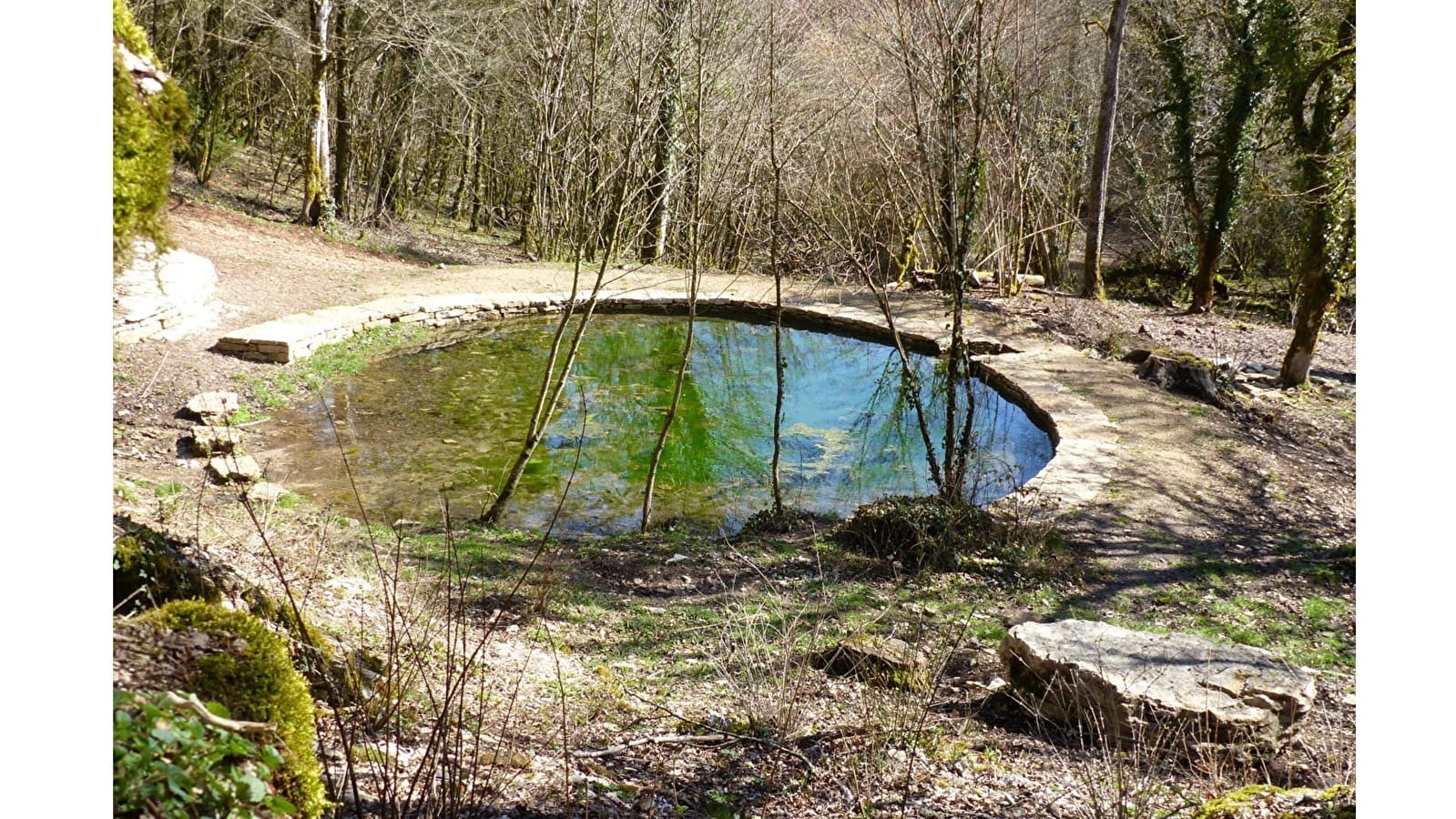 Boucle du Lézard Vert