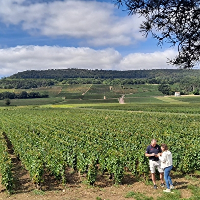 Circuits et Séjours en Bourgogne et dans le Beaujolais