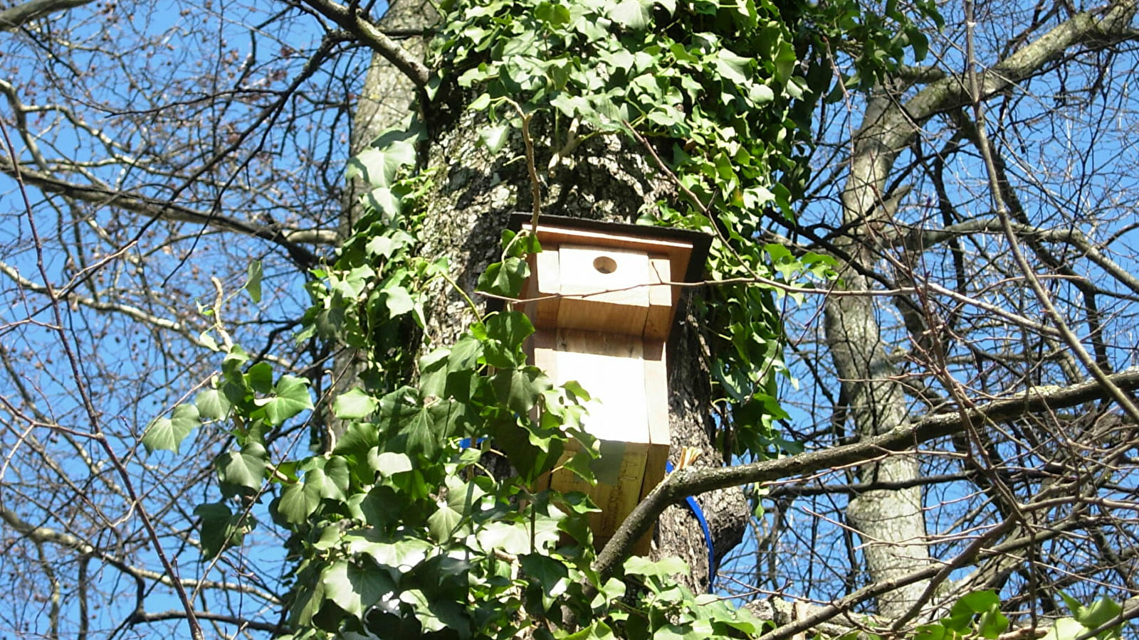 Chantier nature au Bois du Rue de Pouilly_ENS2024