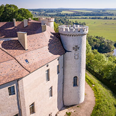 Chateau de Ray-sur-Saône