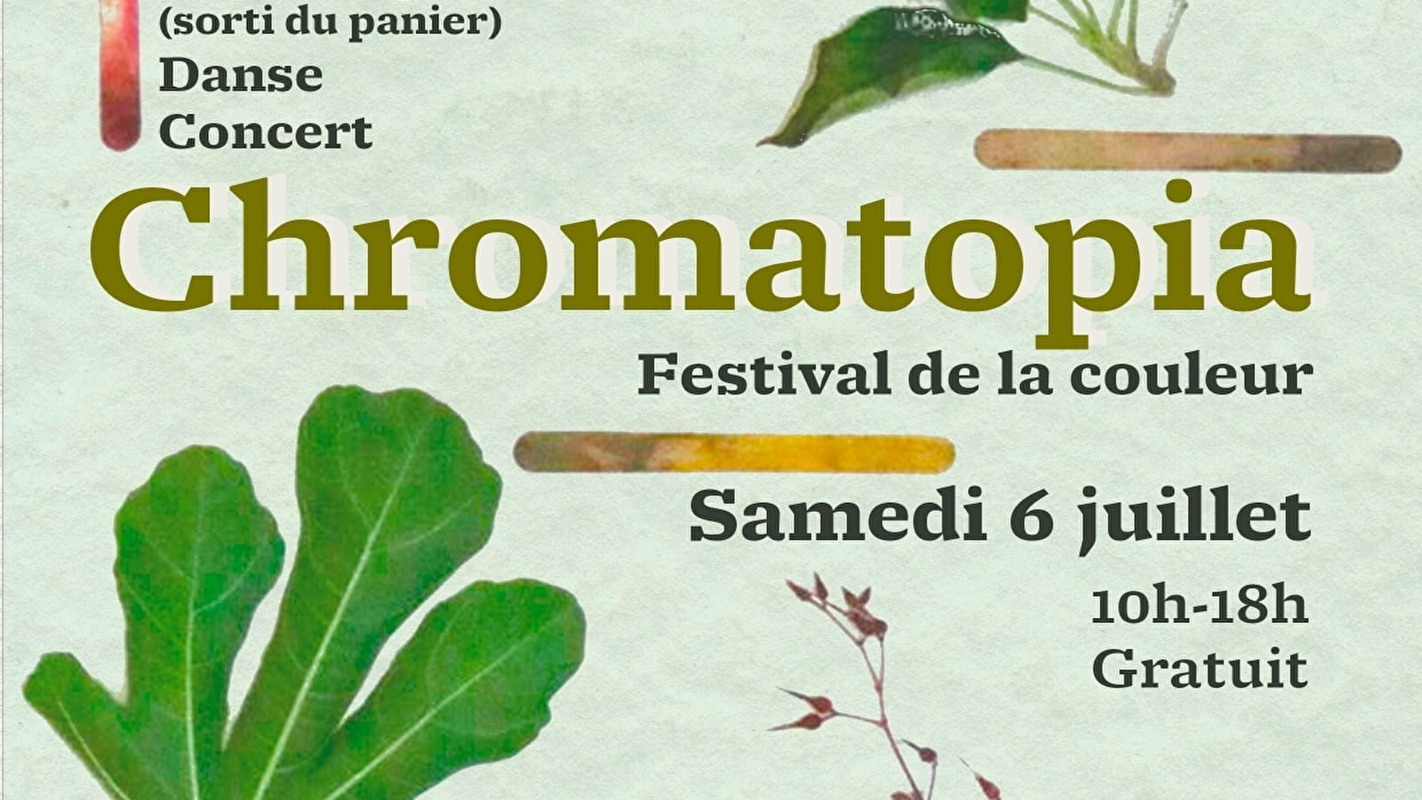 Chromatopia : festival de la couleur