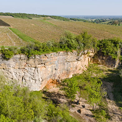 Site d'escalade - Chardonnay