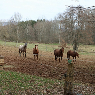 Au Vieux Moulin