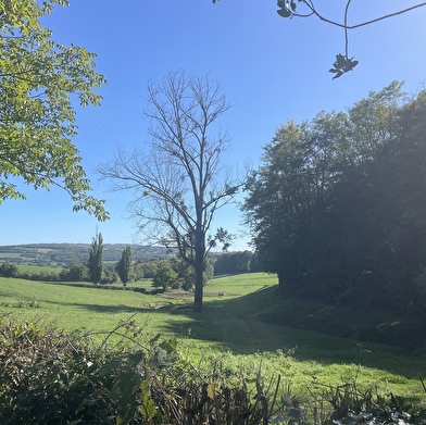 Des vignes et des champs