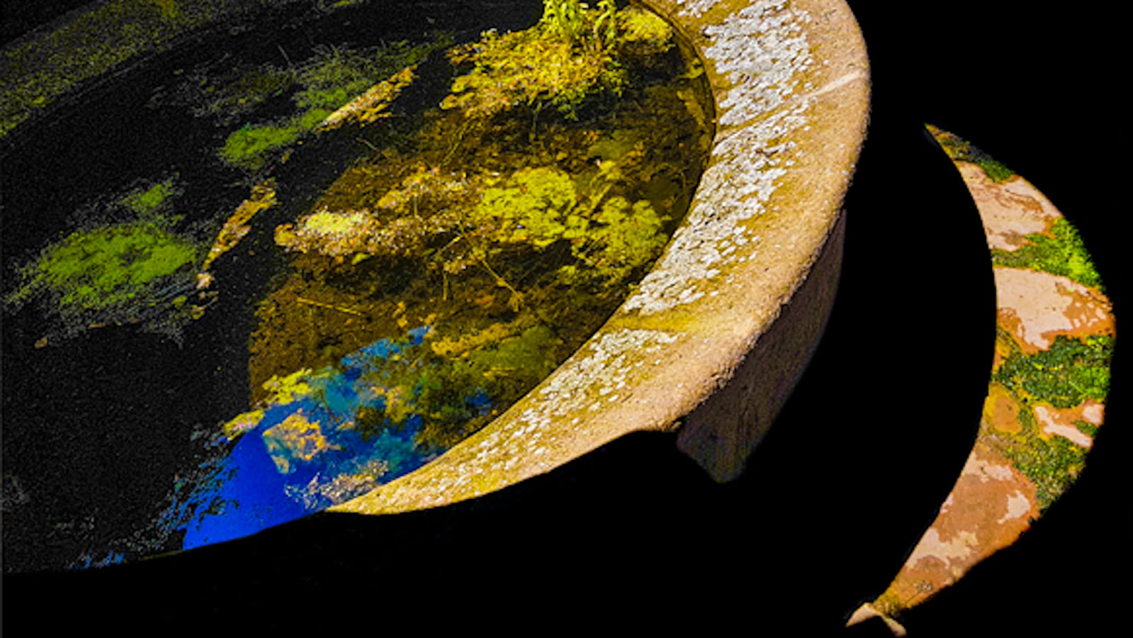 Entre Ciel et Eau . Le lavoir à impluvium de Champlieu