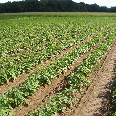 La Ferme du Chemin d'Acey