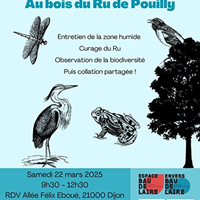 Chantier nature au bois du Ru de Pouilly_ENS2025