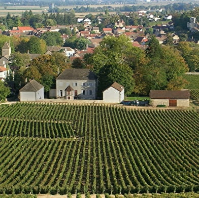 Domaine des Chauchoux