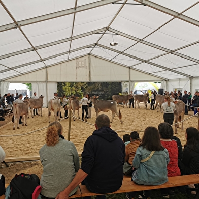 LES JOURNEES CHÂTILLONNAISES 2025  - Grande Foire des savoir-faire locaux