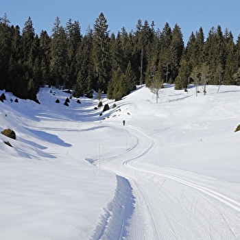 Site Nordique de la Haute Joux - Cerniébaud - Mignovillard - Vaux et Chantegrue - MIGNOVILLARD