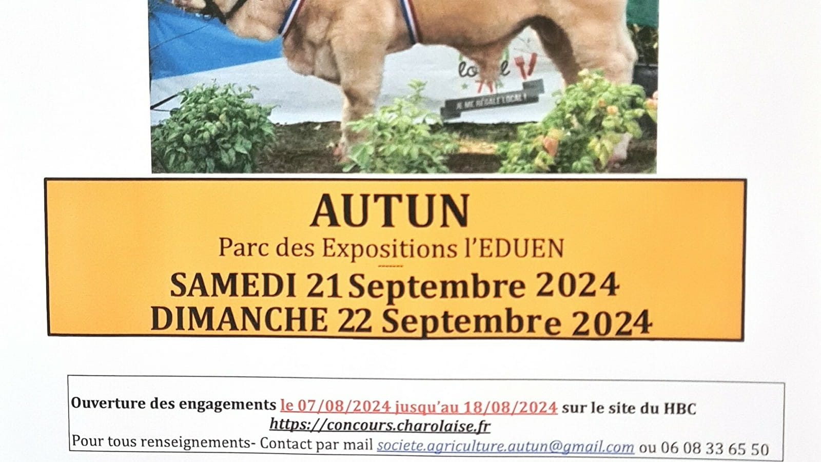 Concours Reproducteurs Charolais