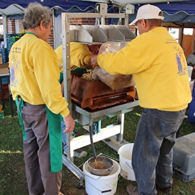 FETE DE LA POMME