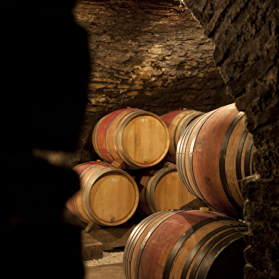 Beaune Underground