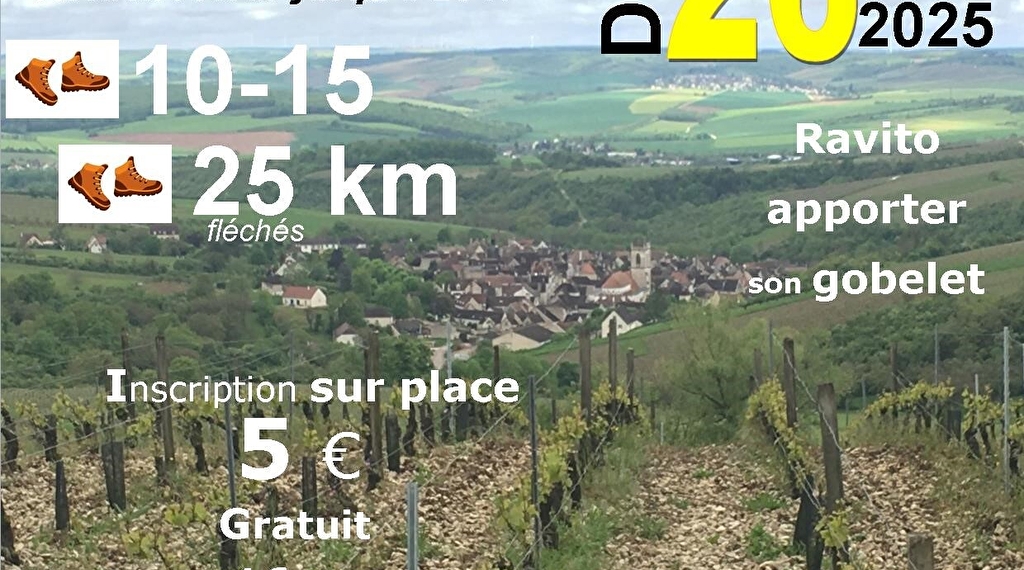 A travers le vignoble - Rando pédestre Du 8 au 26 janv 2025