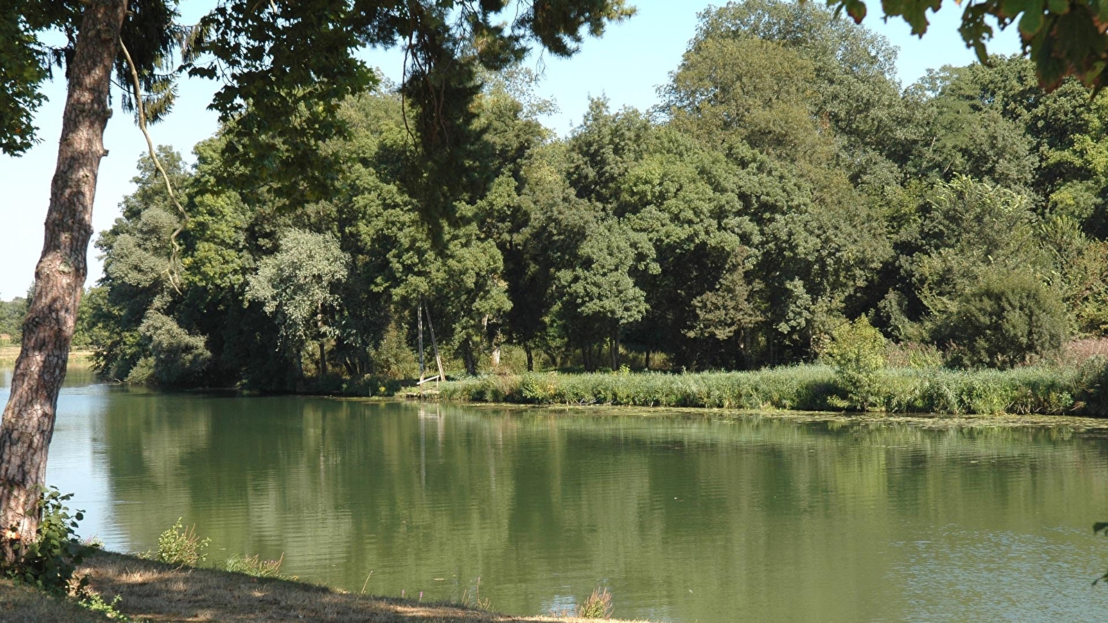 Circuit des Etangs de la Saône