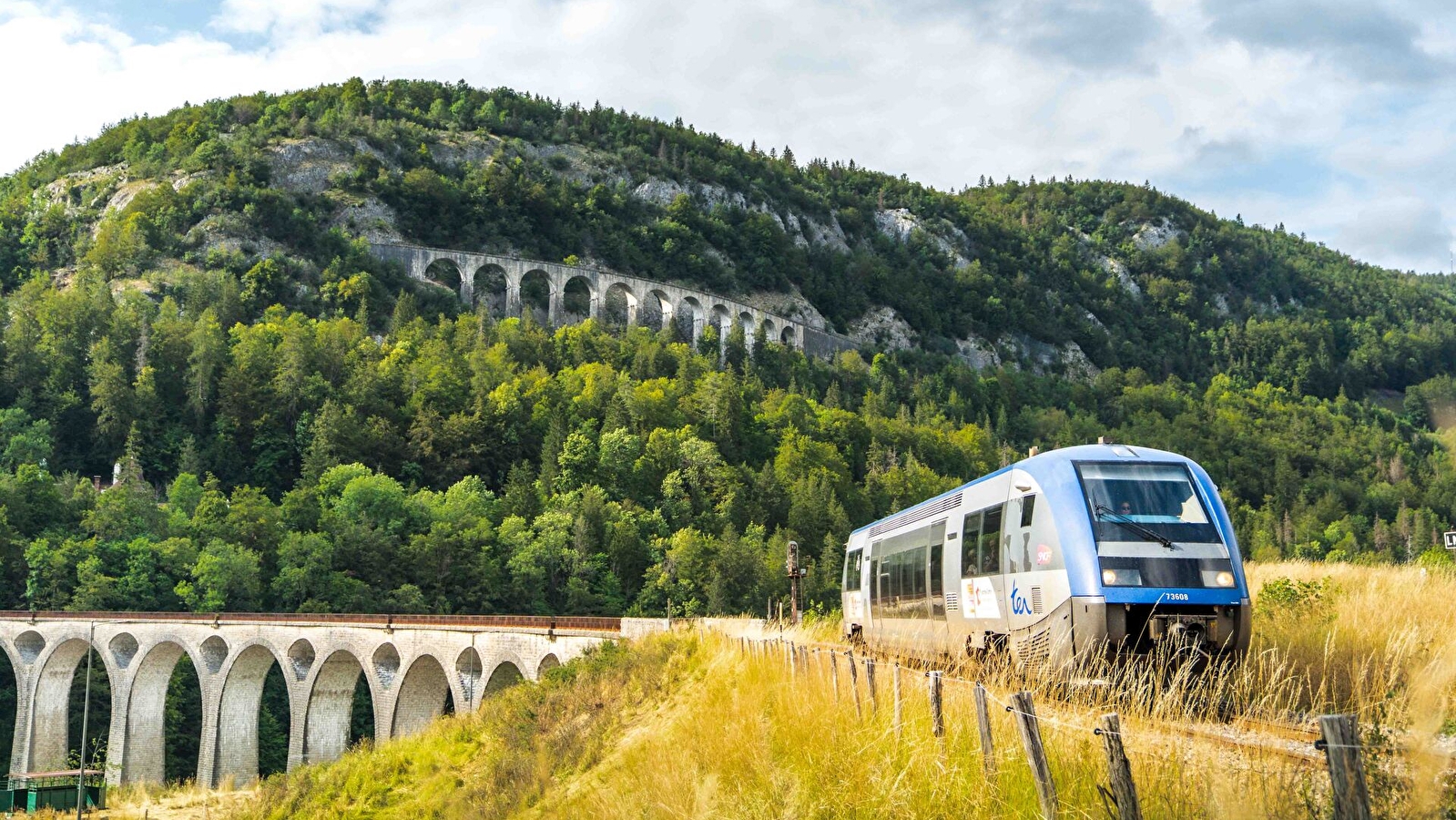 Excursion accompagnée groupes - Ligne des Hirondelles