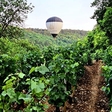 France Montgolfières - Beaune