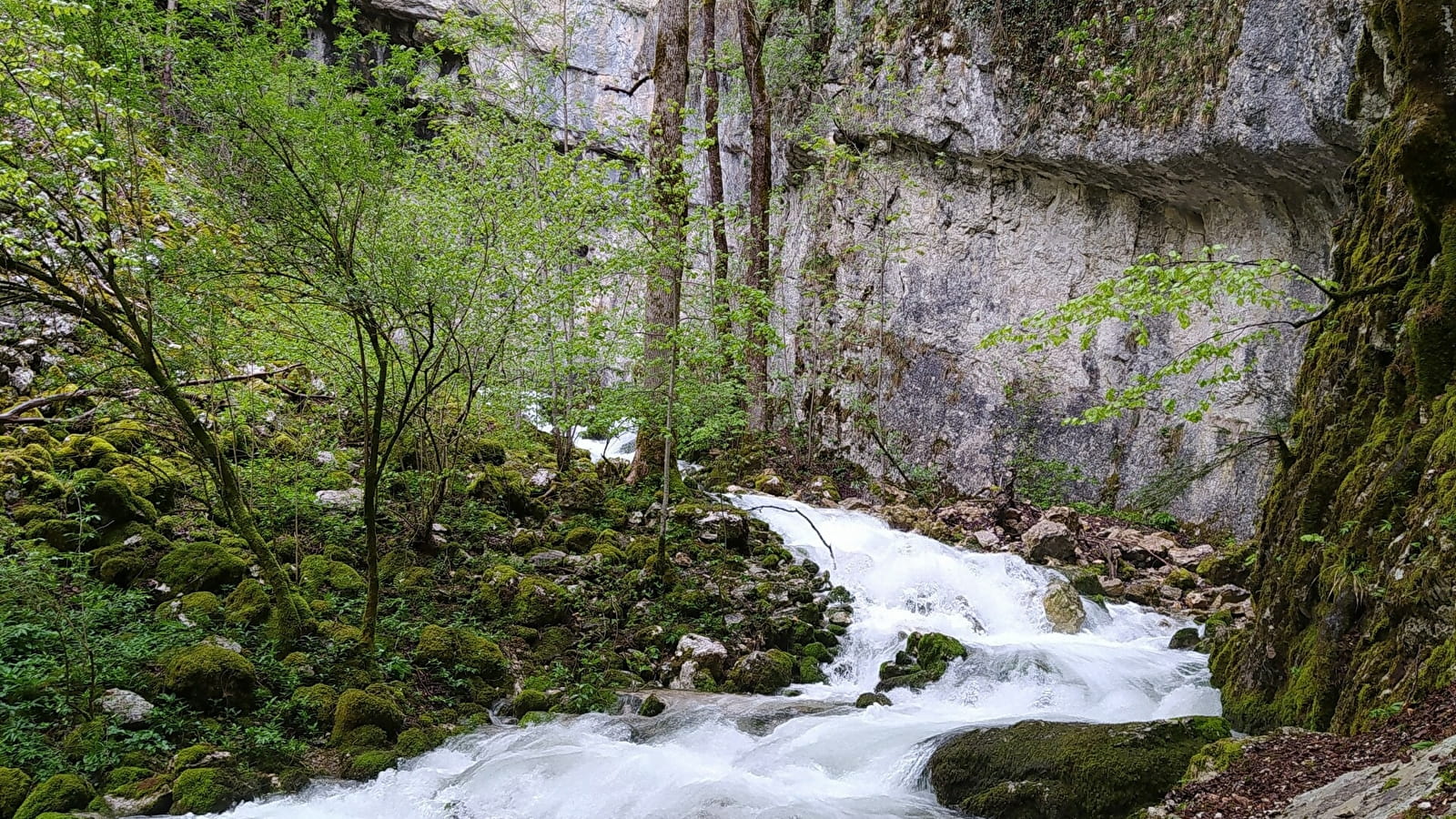 Source du Bief de la Ruine et Creux des Joyaux