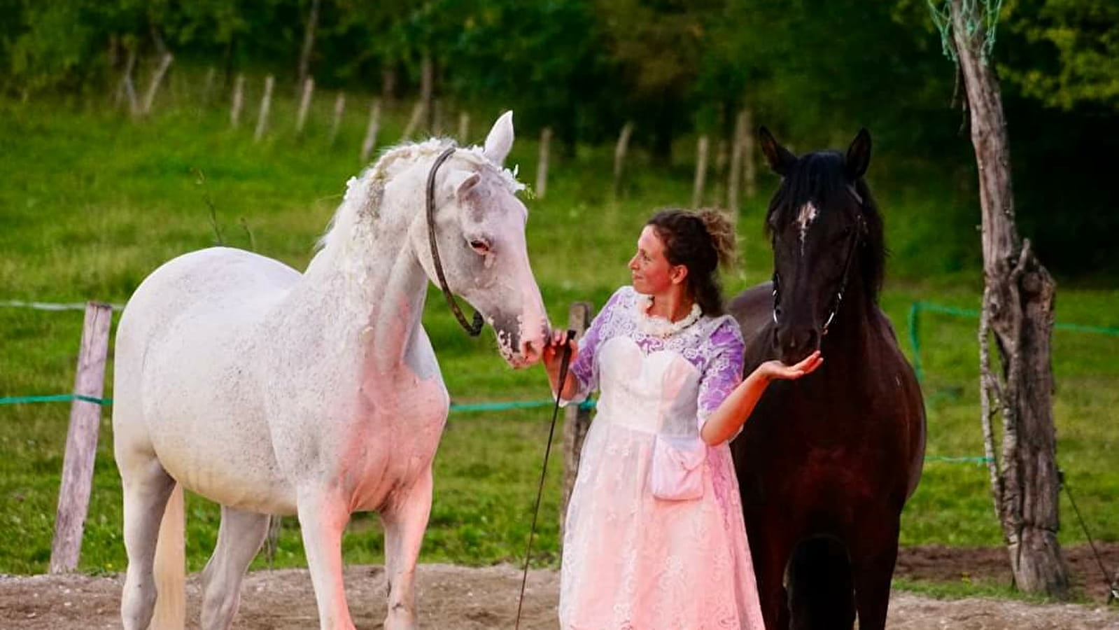 Lucie et les chevaux