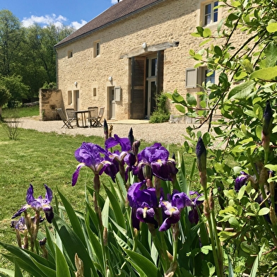 Céline - Domaine de Charmois