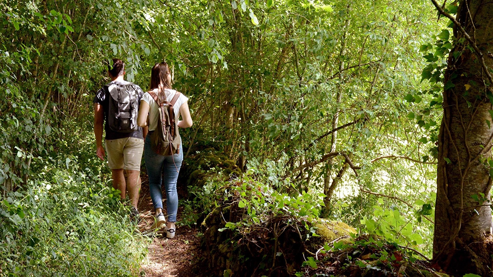 Sentier du Bois charmant