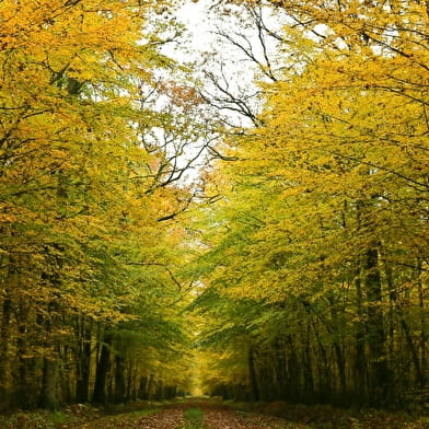  Le Chemin Carriès