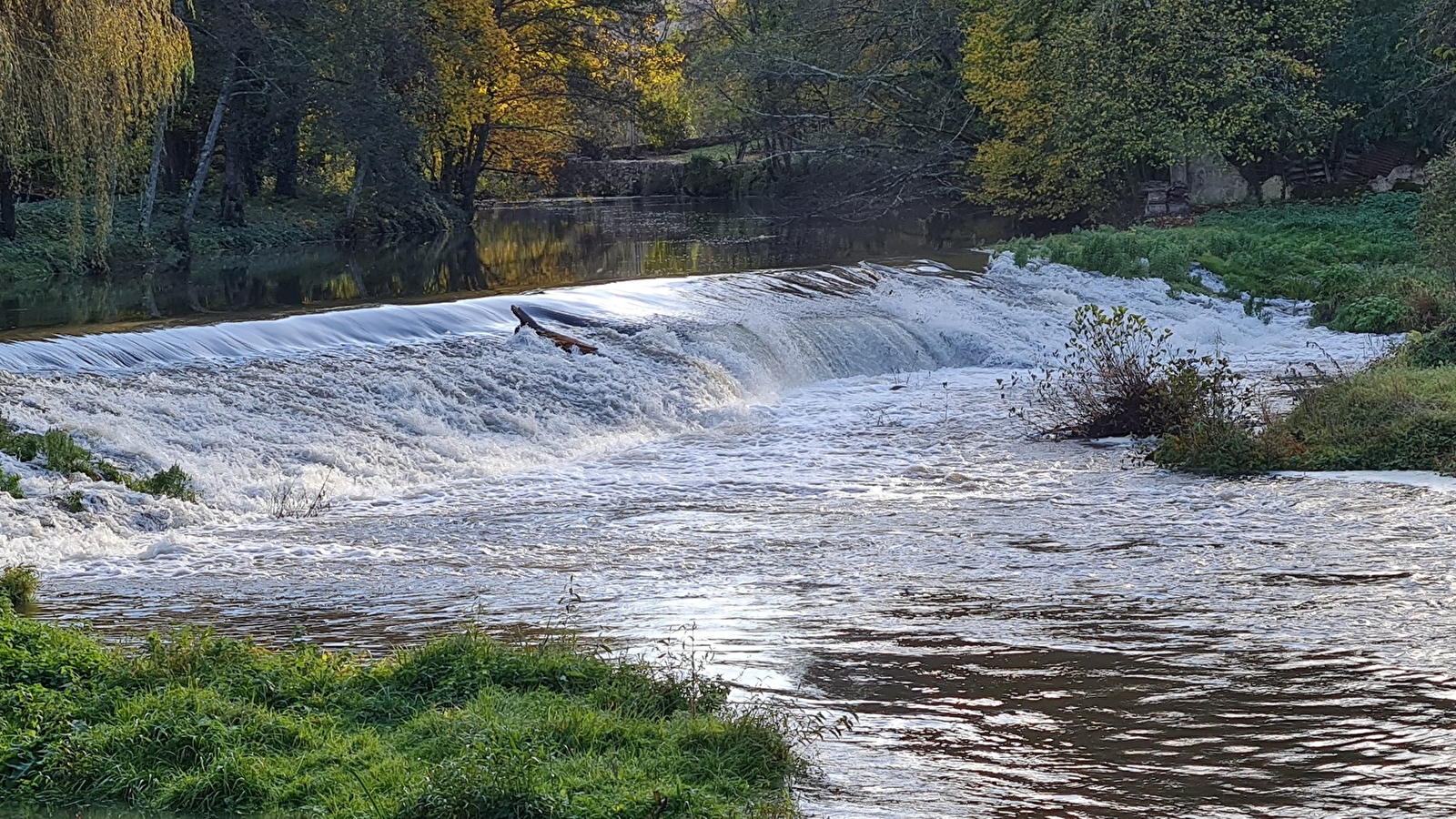 Le Moulin de L'O- L'Orle Nature