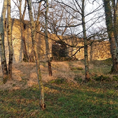 Vestiges du Château de Beaufort