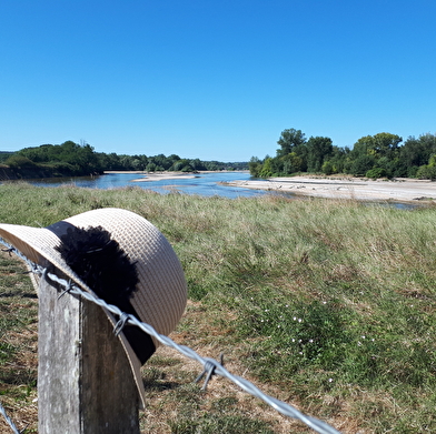 Balade famille : Sentier de découverte du Passeur du Bec d'Allier