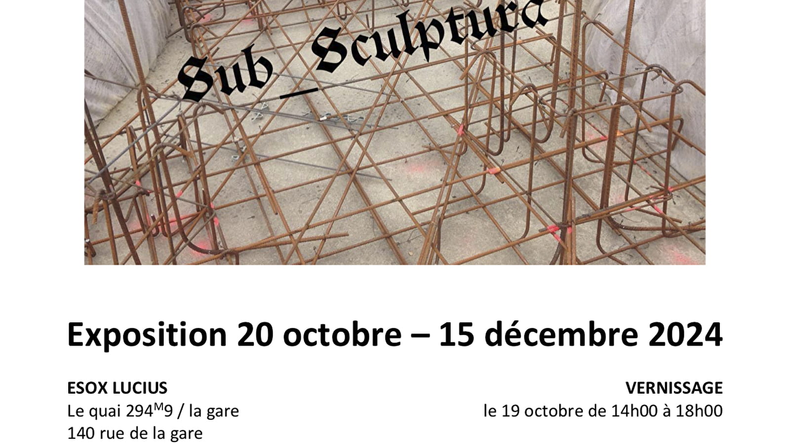 'Sub Sculptura' exposition Vincent Ganivet 