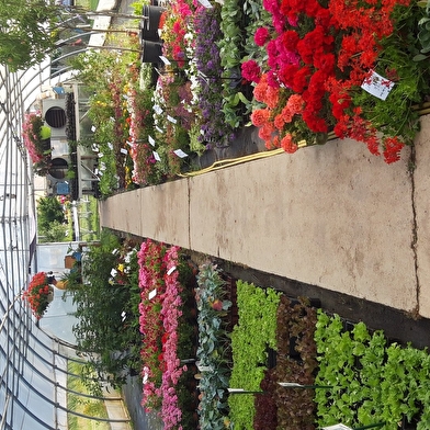 Le jardin de Chazey