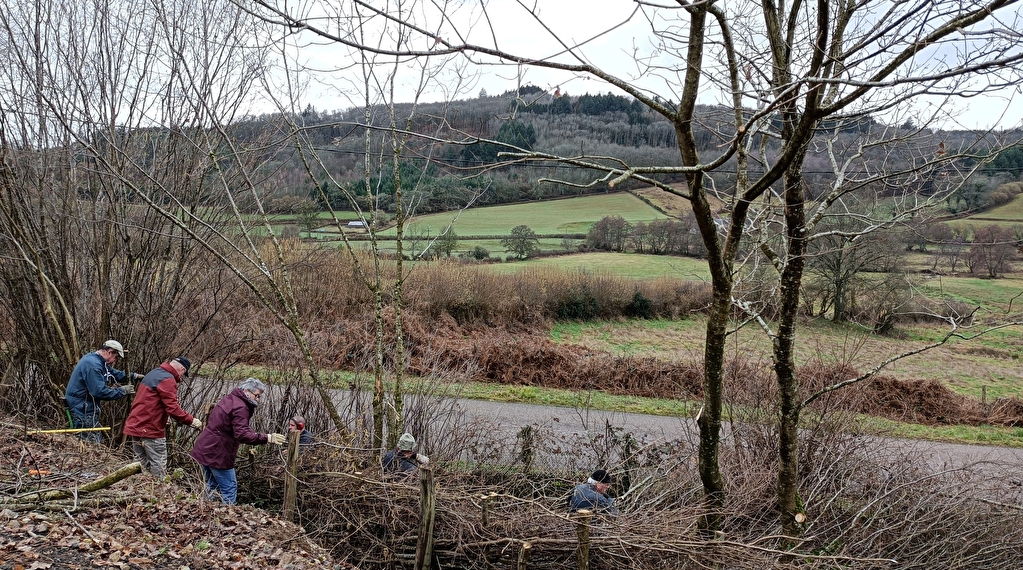 Le Mois de la Plèchie - Etang-sur-Arroux