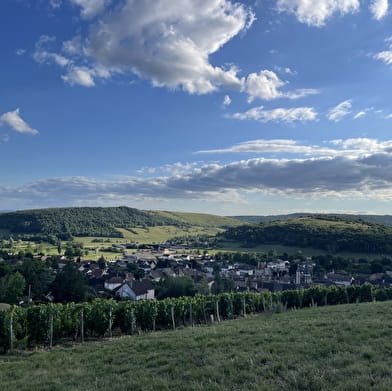 Cité médiévale - Saint-Gengoux-le-National